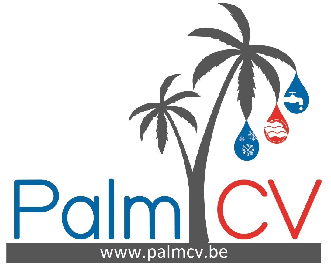 Palm CV